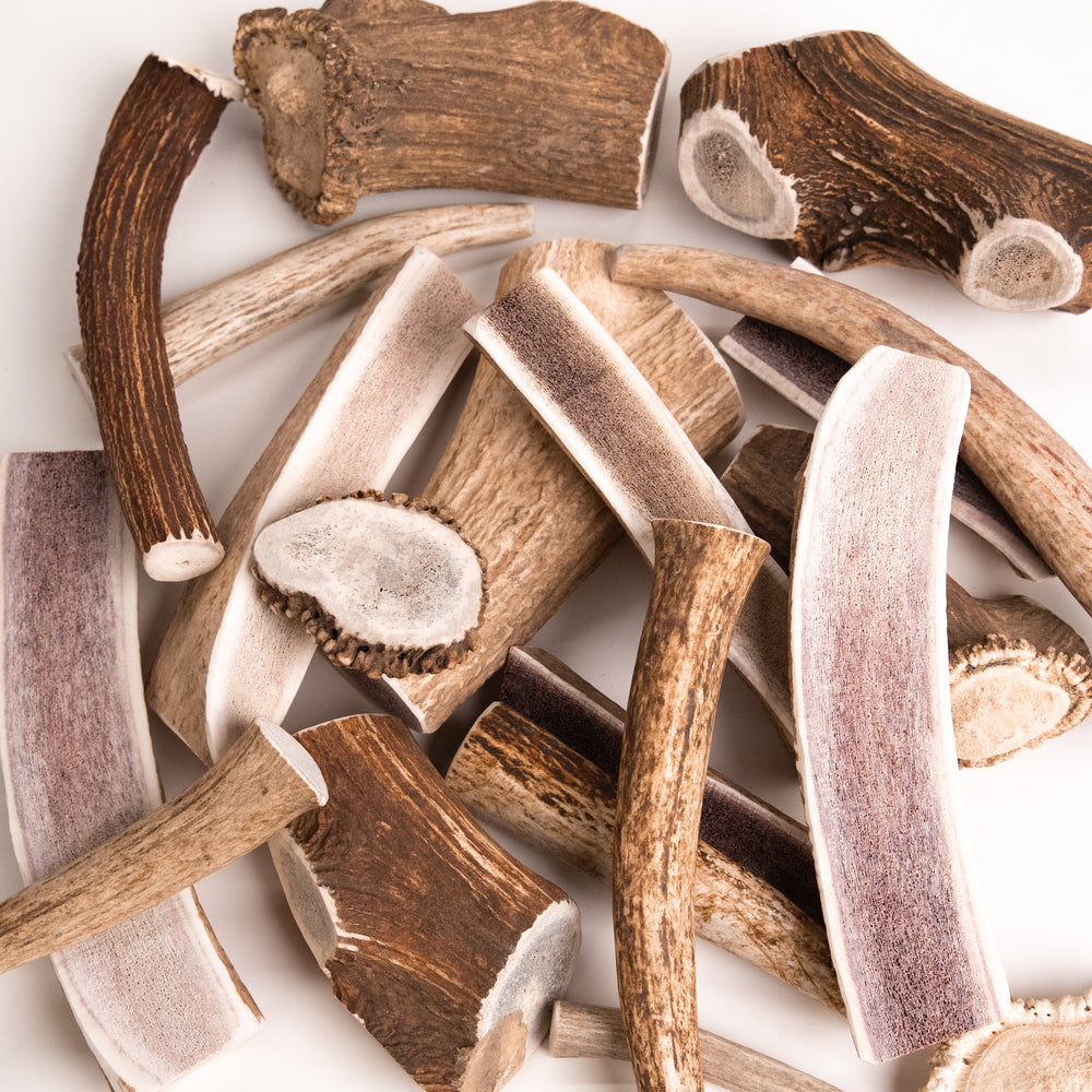 Pile of various sizes of elk antler chews