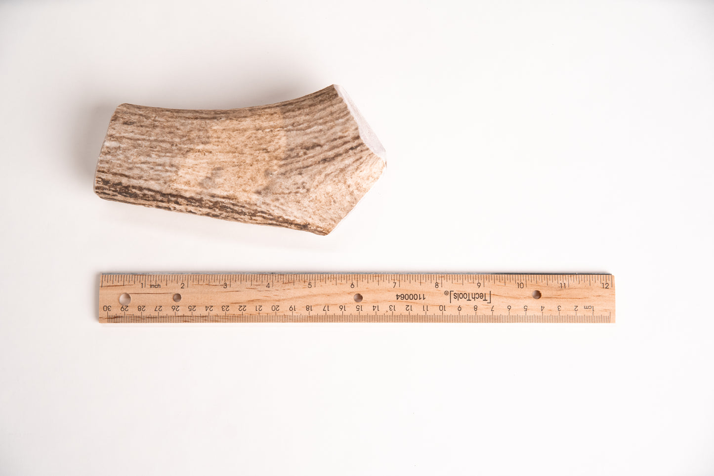 Small sized elk antler chew with a ruler for scale on a white background