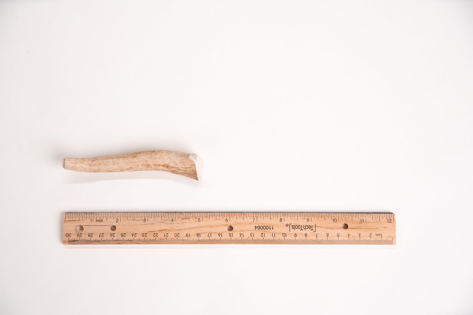 5 inch antler next to a ruler on a white background