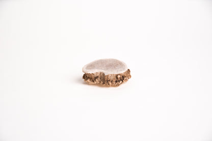 Burr Antler