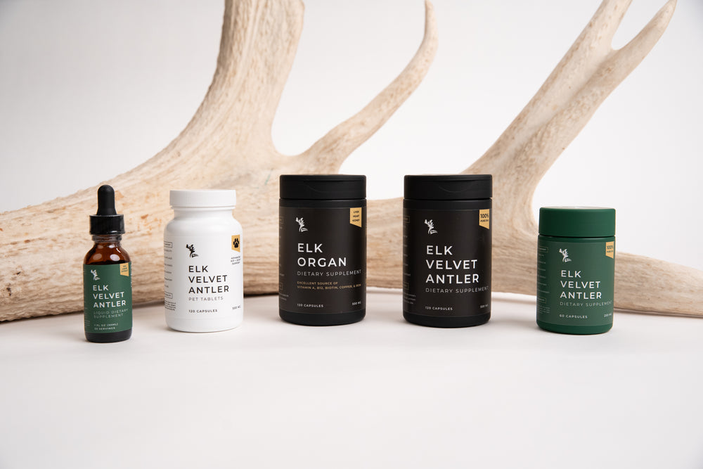 Noble elk dietary supplements sitting side by side and in front of an elk antler including Elk Velvet Antler Liquid Dietary Supplement, Elk Velvet Antler Pet Tablets, Elk Organ Dietary Supplement, and two sizes of Elk Velvet Antler Dietary Supplement in black and green bottles. 