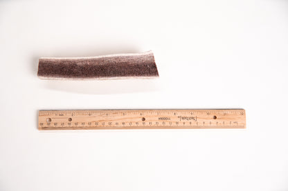 Medium sized split elk antler with a ruler for scale on a white background